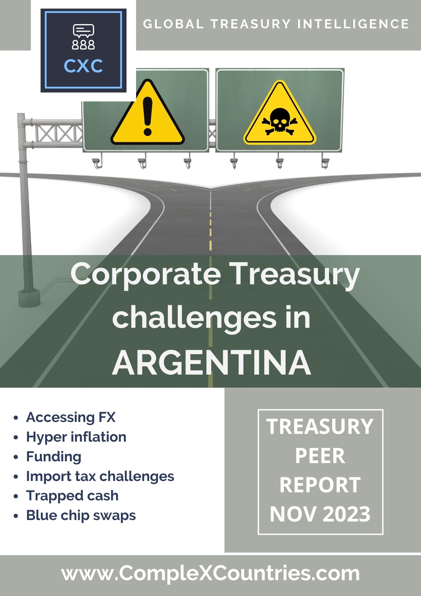 Corporate Treasury Challenges in Argentina