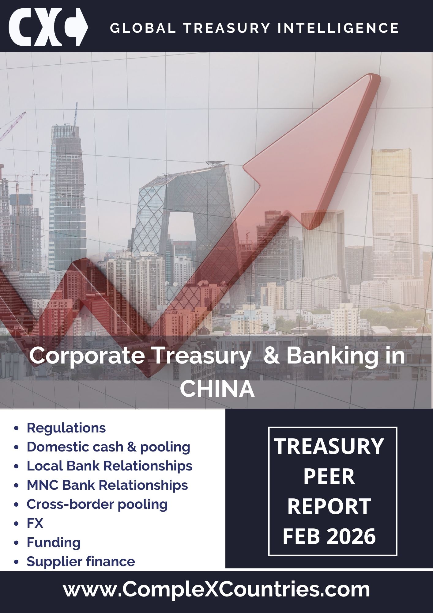 Corporate Treasury & Banking in China