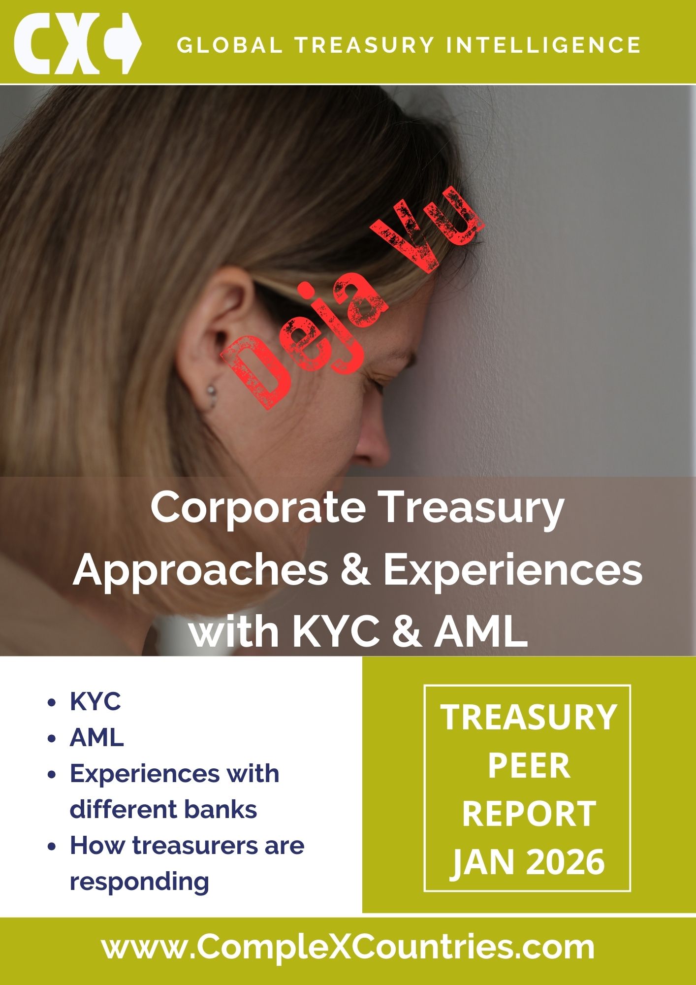 Corporate Treasury - Approaches & Experiences with KYC & AML