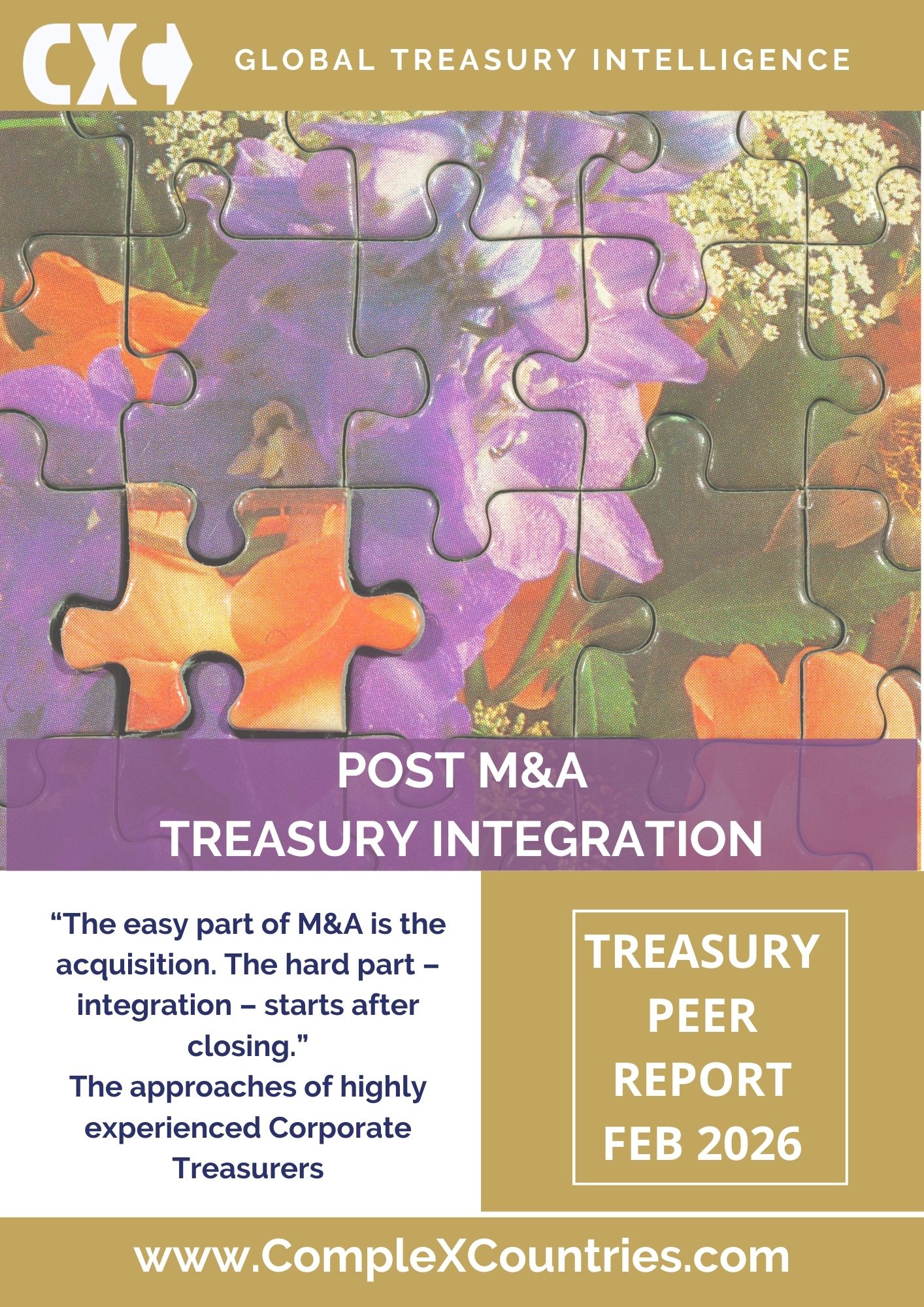 Post M&A Corporate Treasury Integration