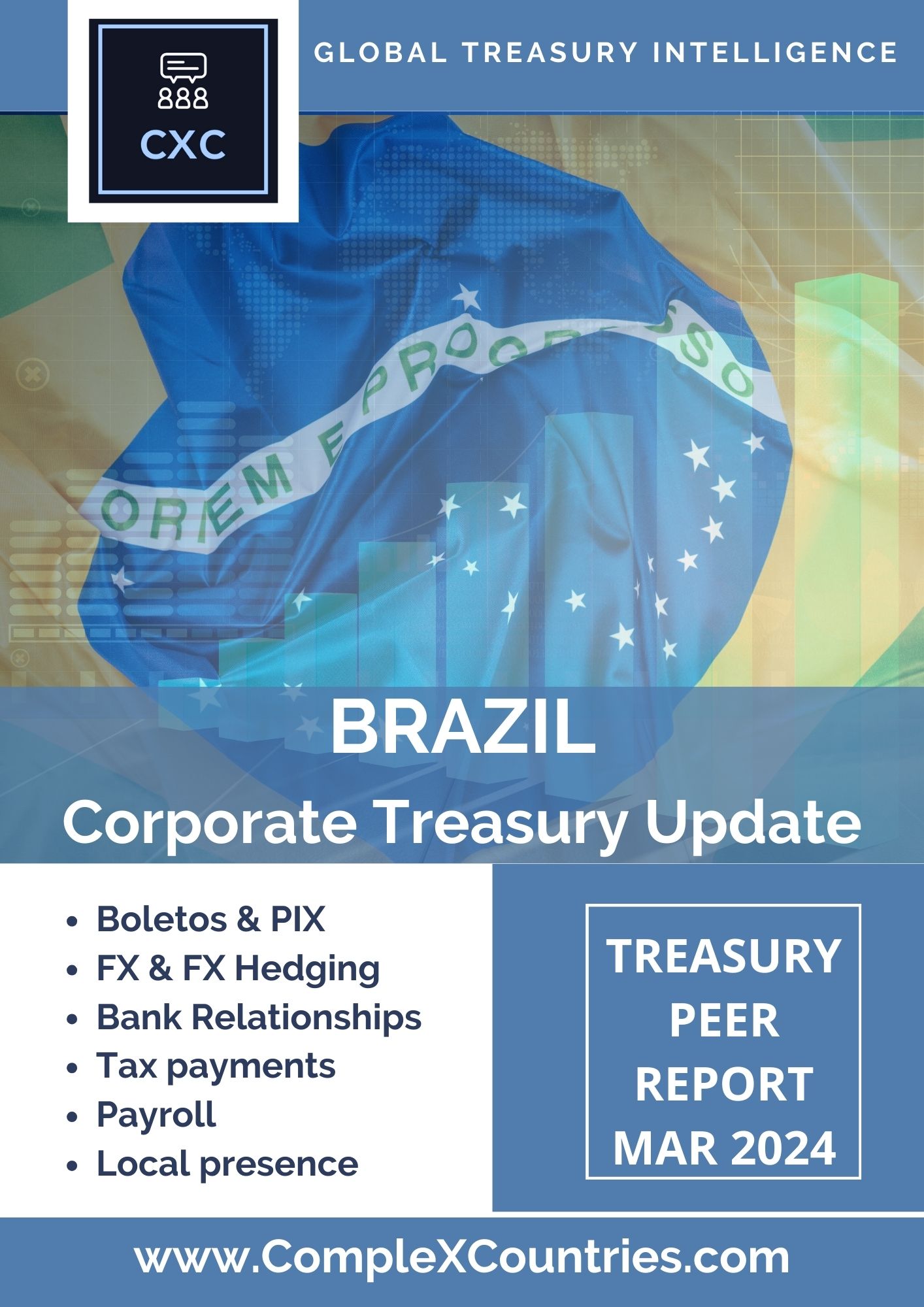 Brazil Corporate Treasury Update