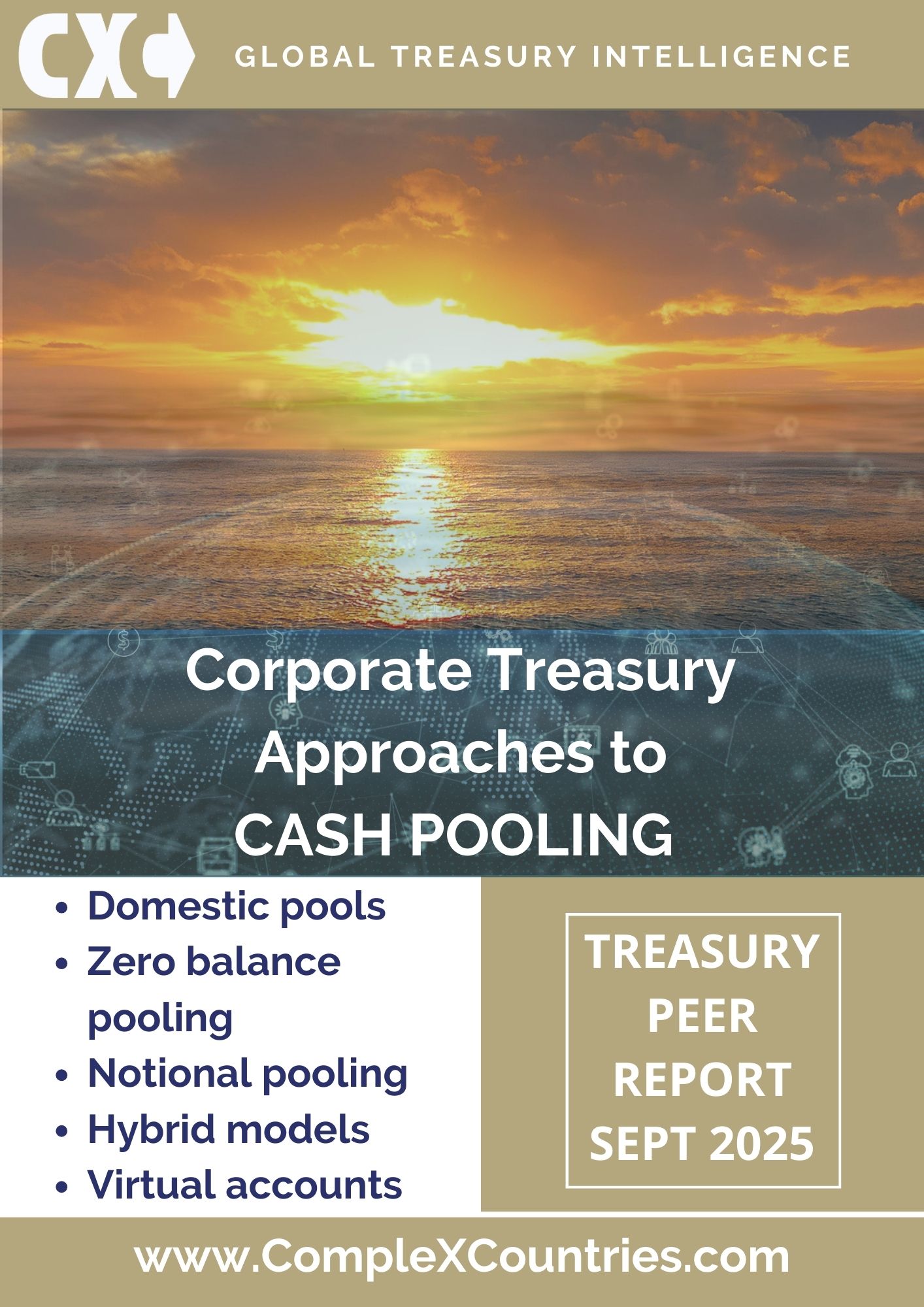 Corporate Treasury: Approaches to Cash Pooling