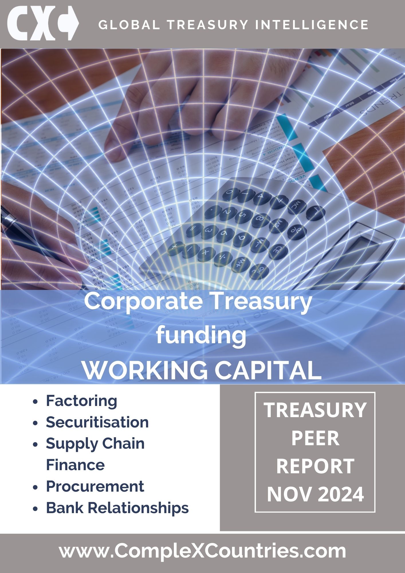 Corporate Treasury: Funding Working Capital