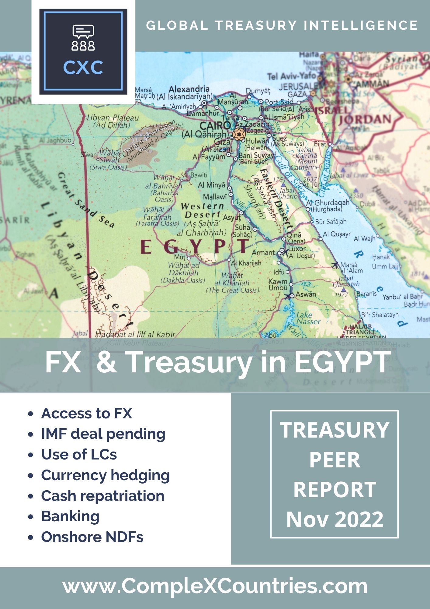FX & Treasury in Egypt