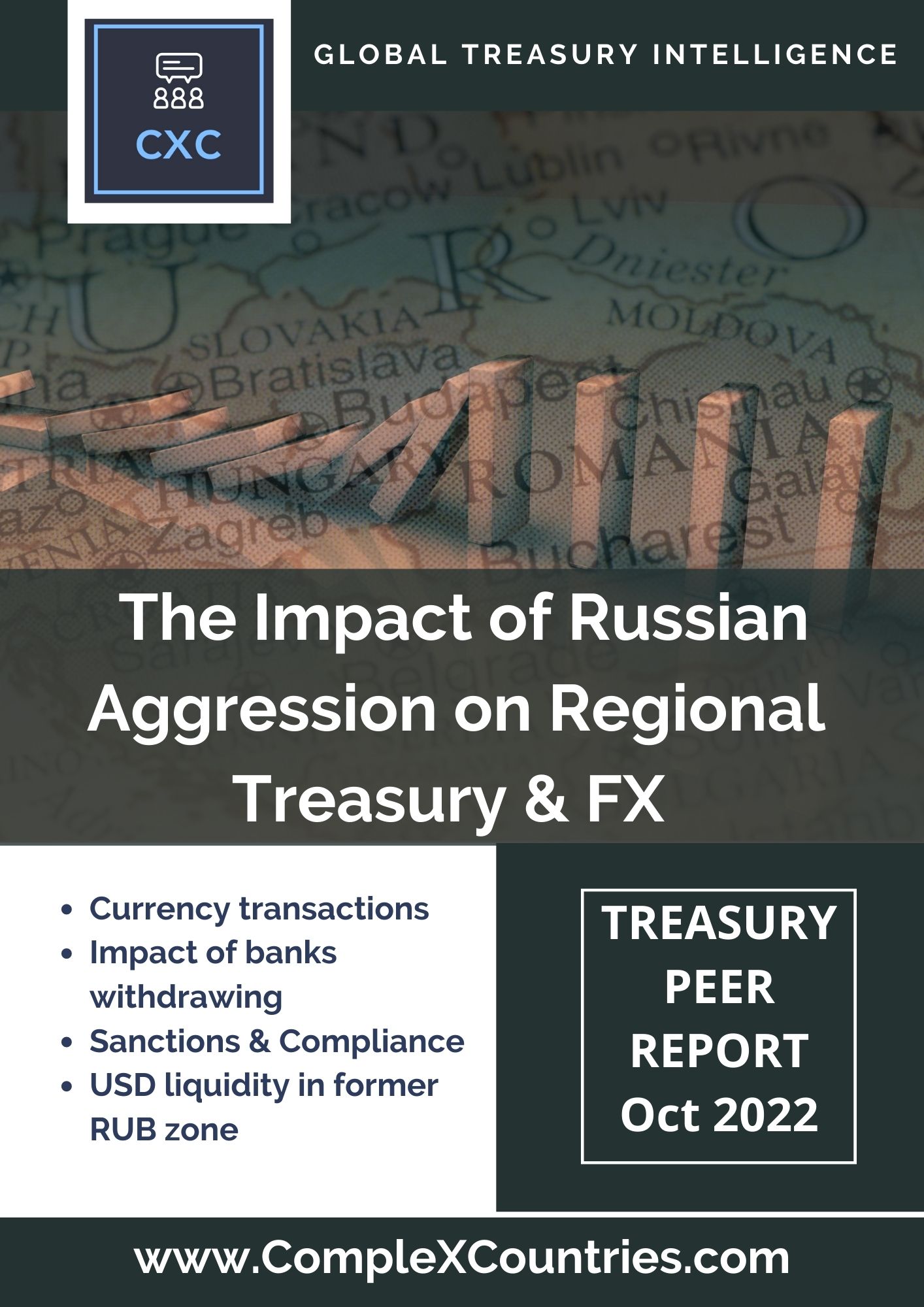 The Impact of Russian Aggression on Regional Treasury & FX
