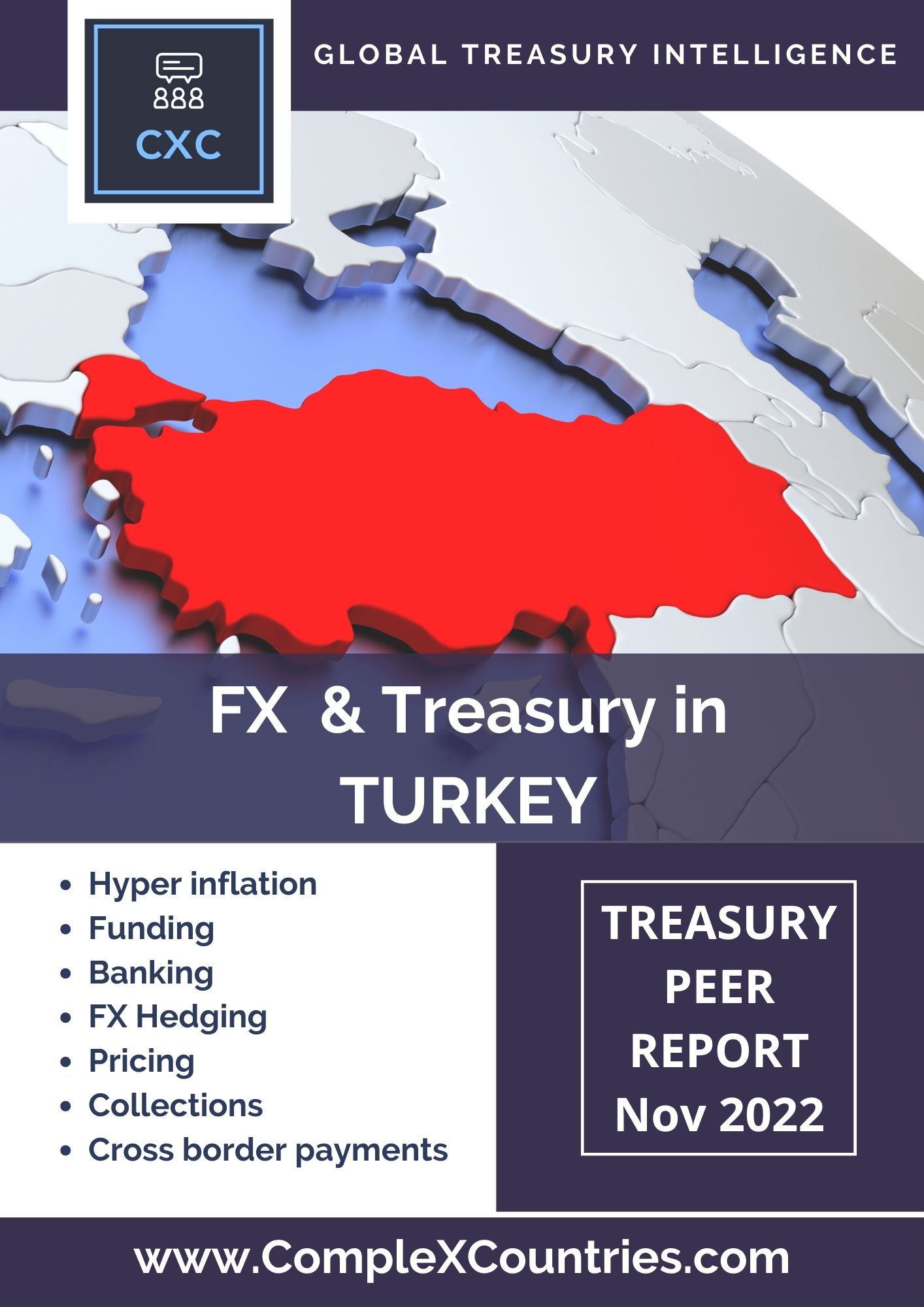 FX & Treasury in Turkey
