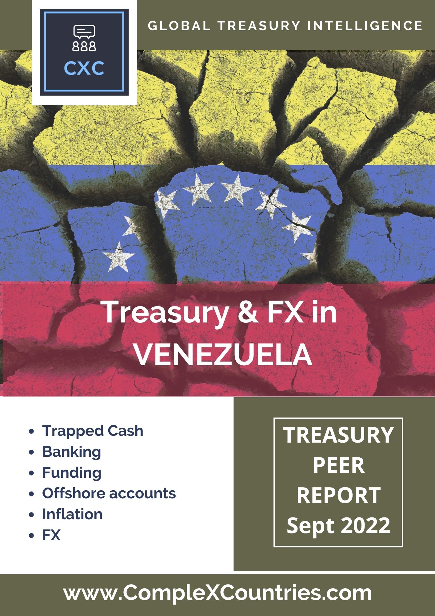 Treasury & FX in Venezuela