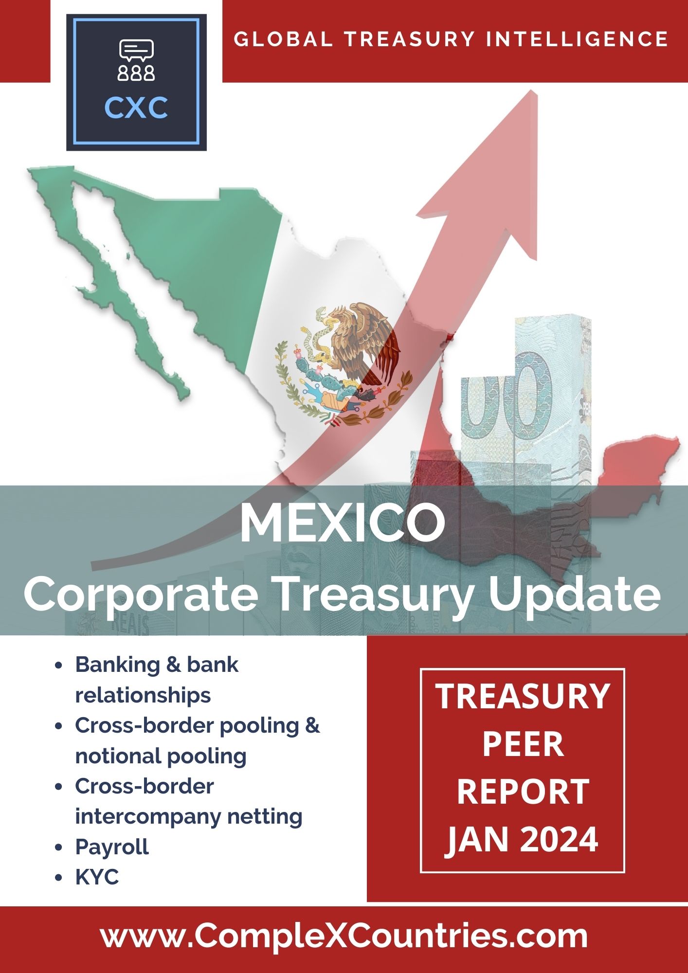 Mexico - Corporate Treasury Update