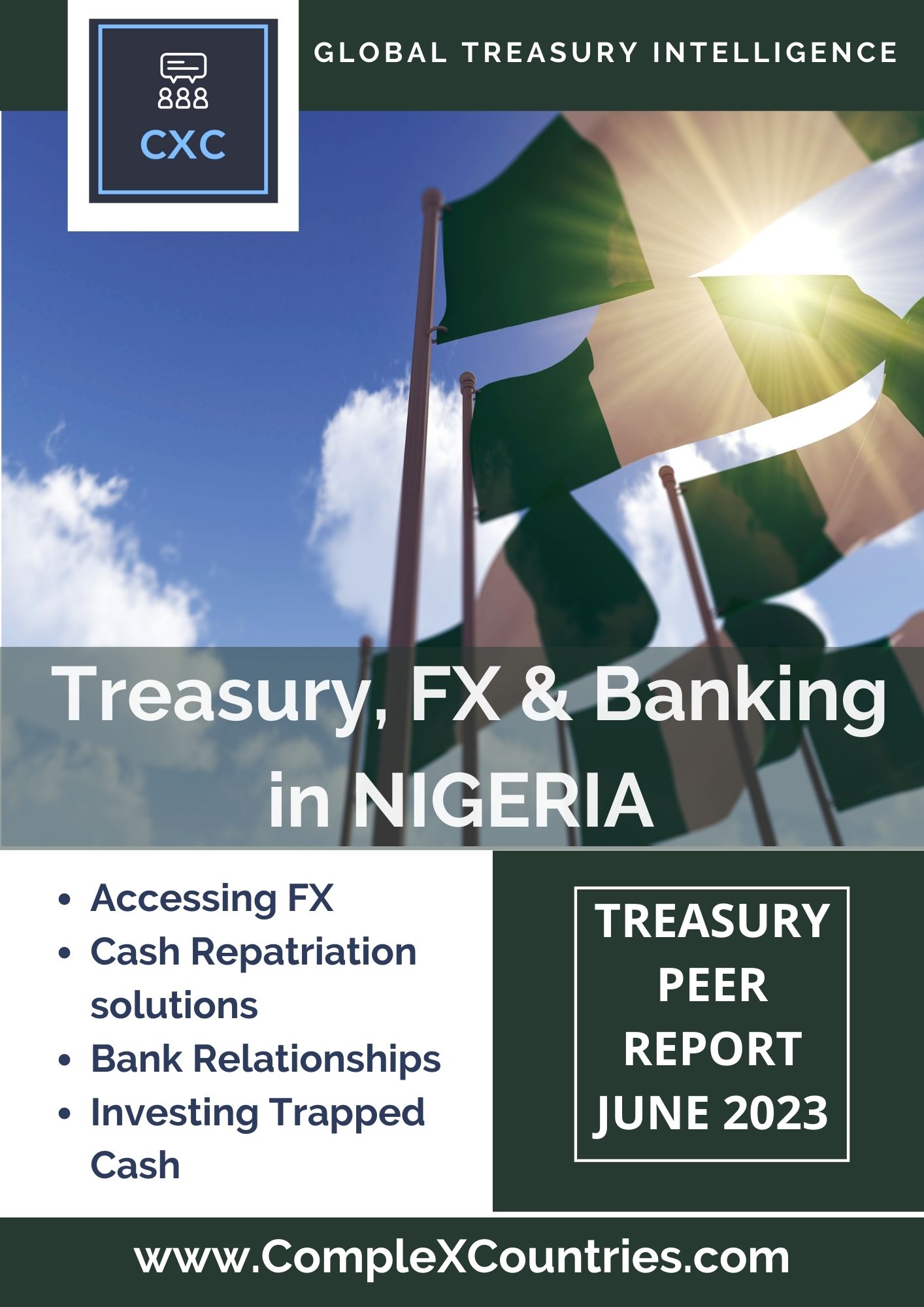 Treasury FX & Banking in Nigeria