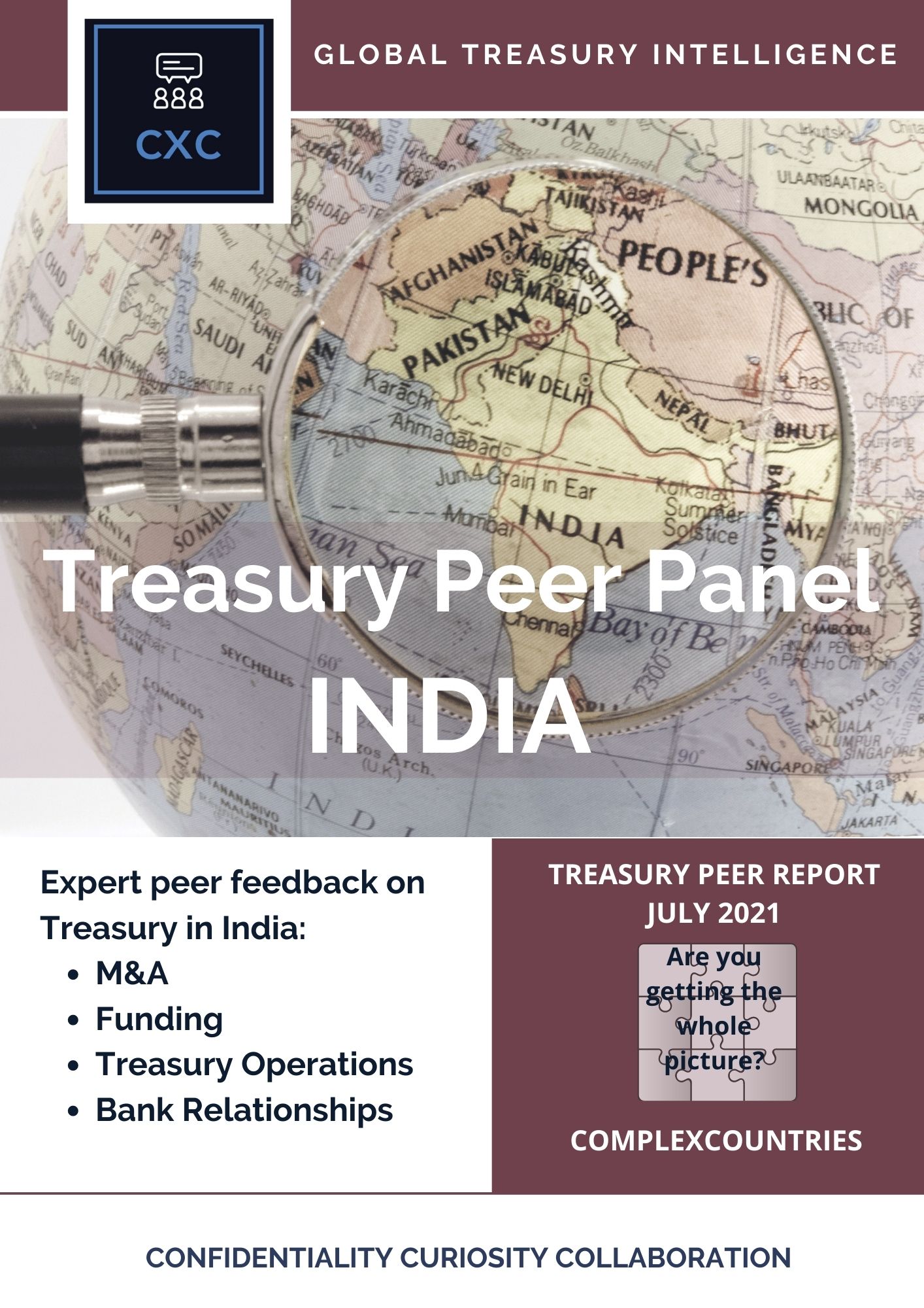 Treasury Peer Panel : India