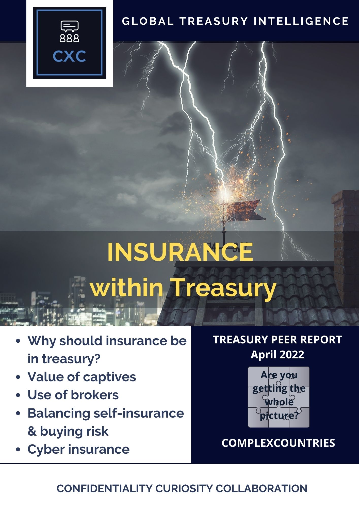 Insurance within Treasury