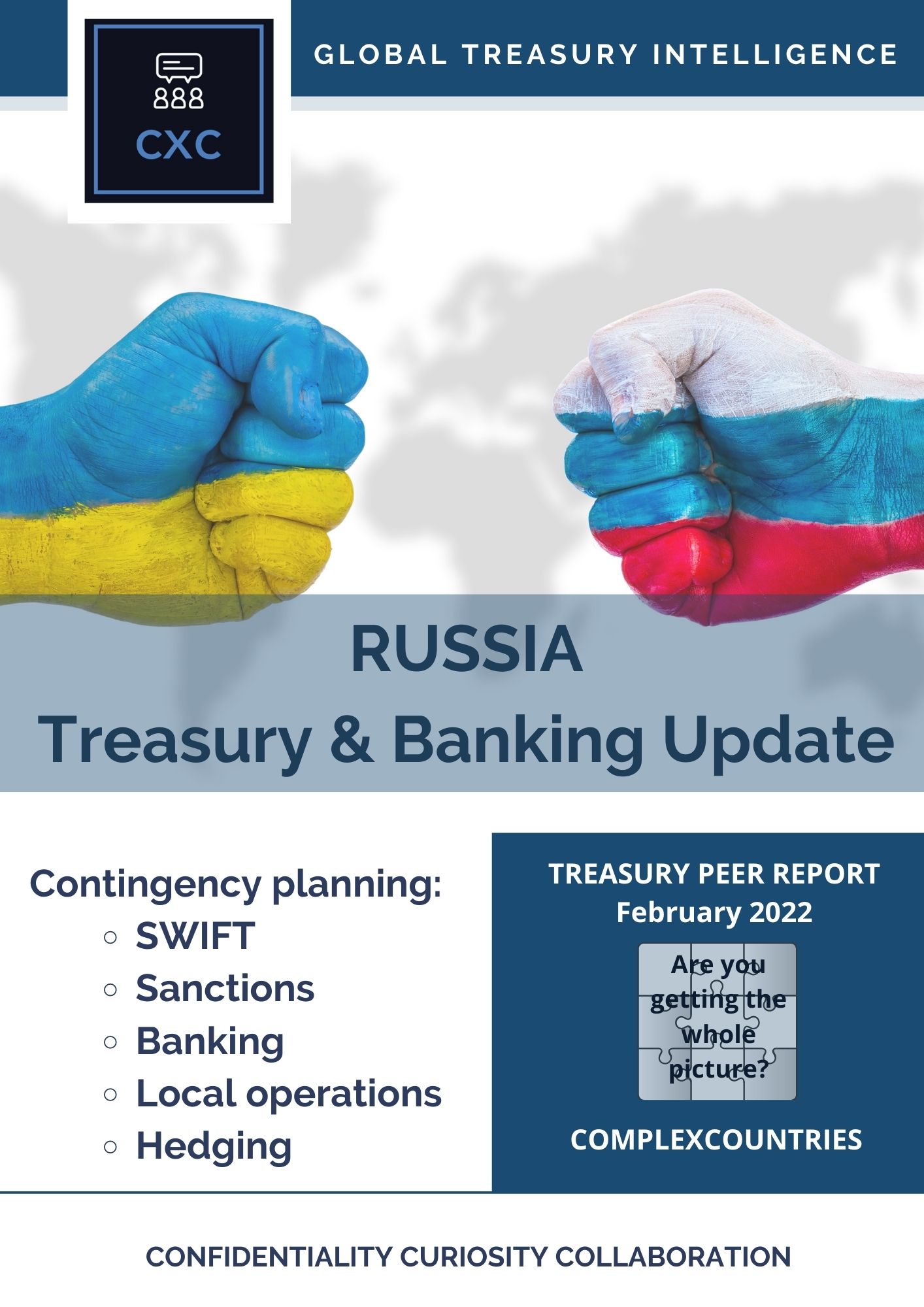 Russia Treasury & Banking Update