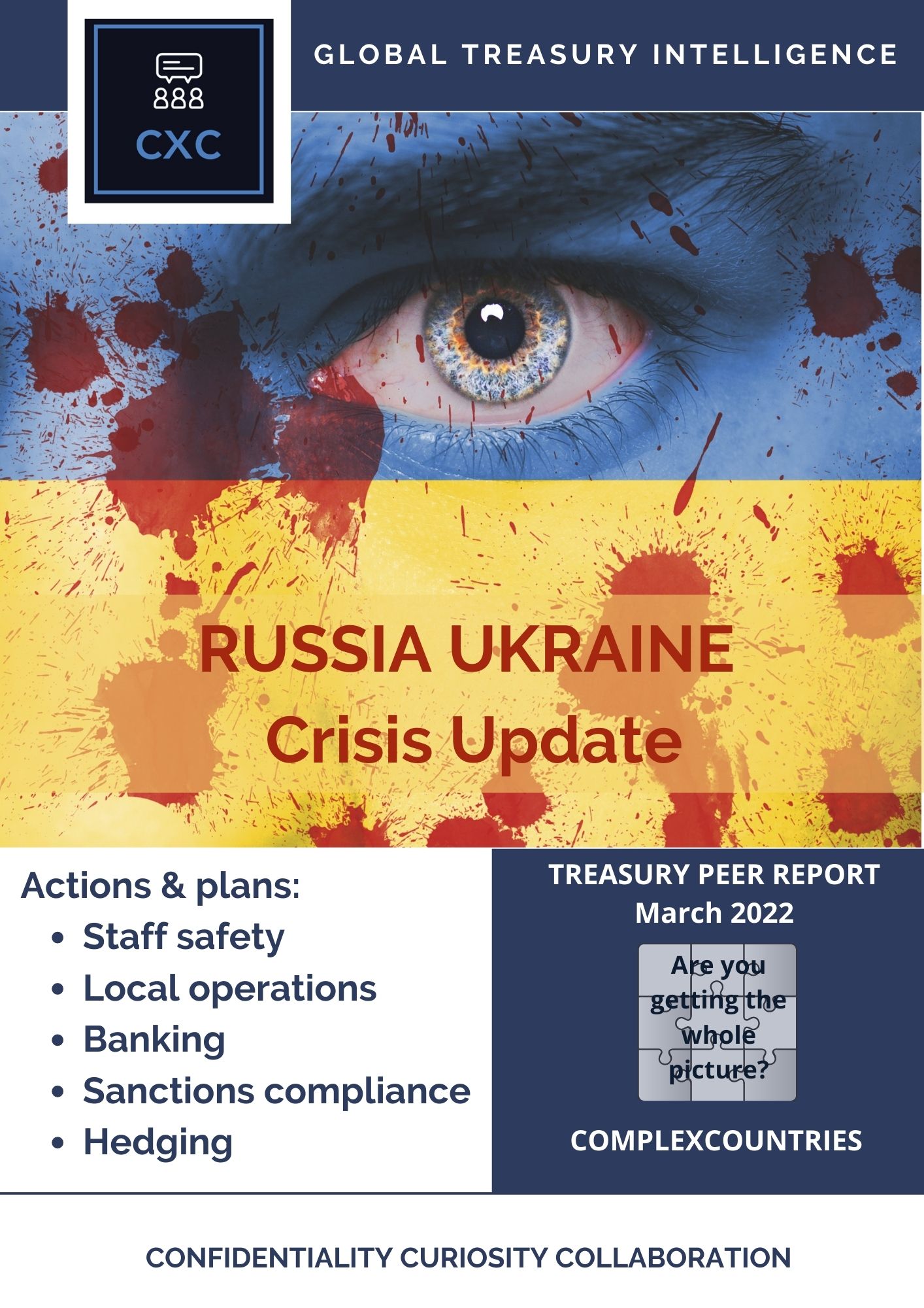 Russia Ukraine Crisis  Treasury Update