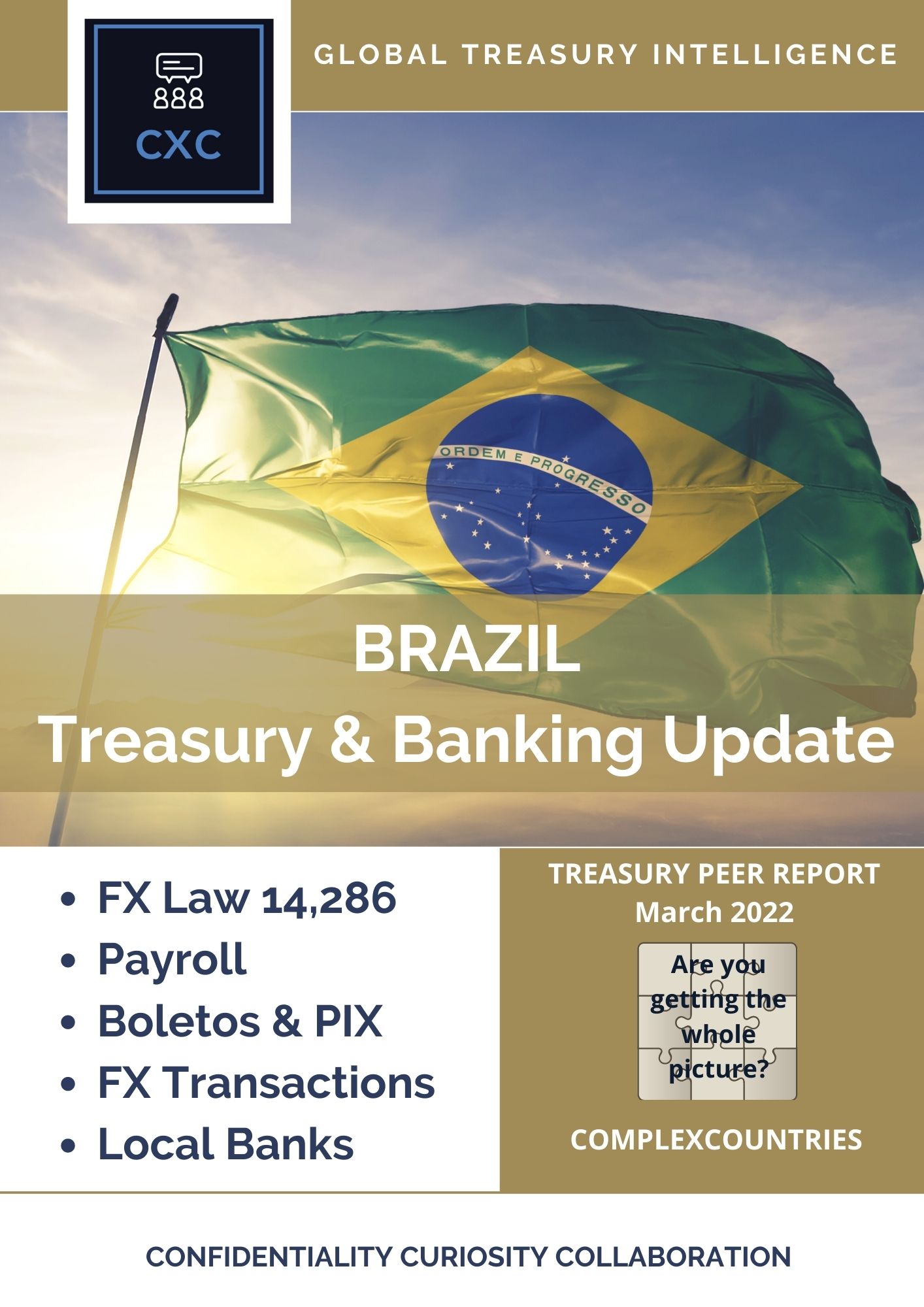 Brazil Treasury & Banking Update