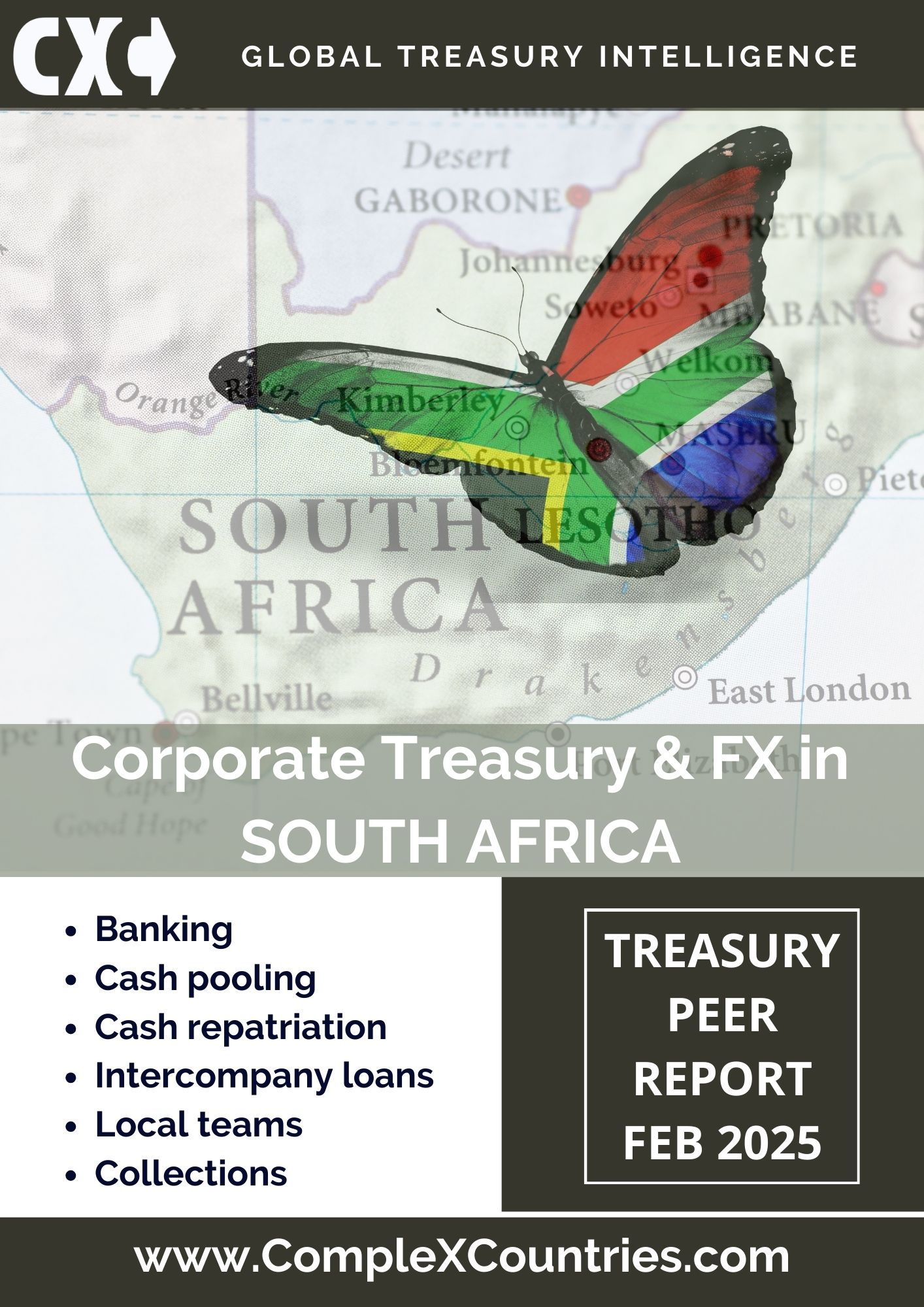 Corporate Treasury & FX in South Africa