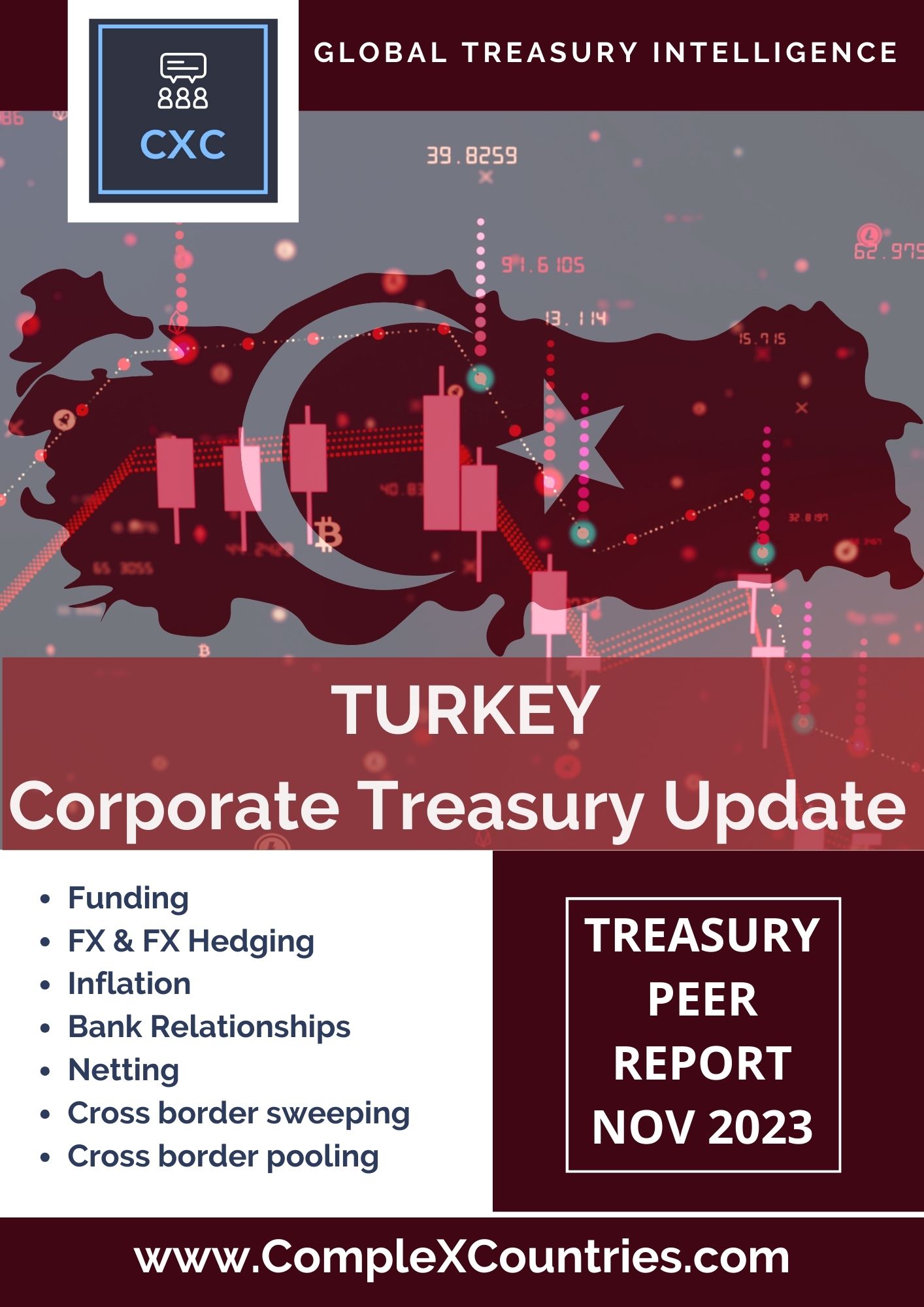 Turkey Corporate Treasury Update