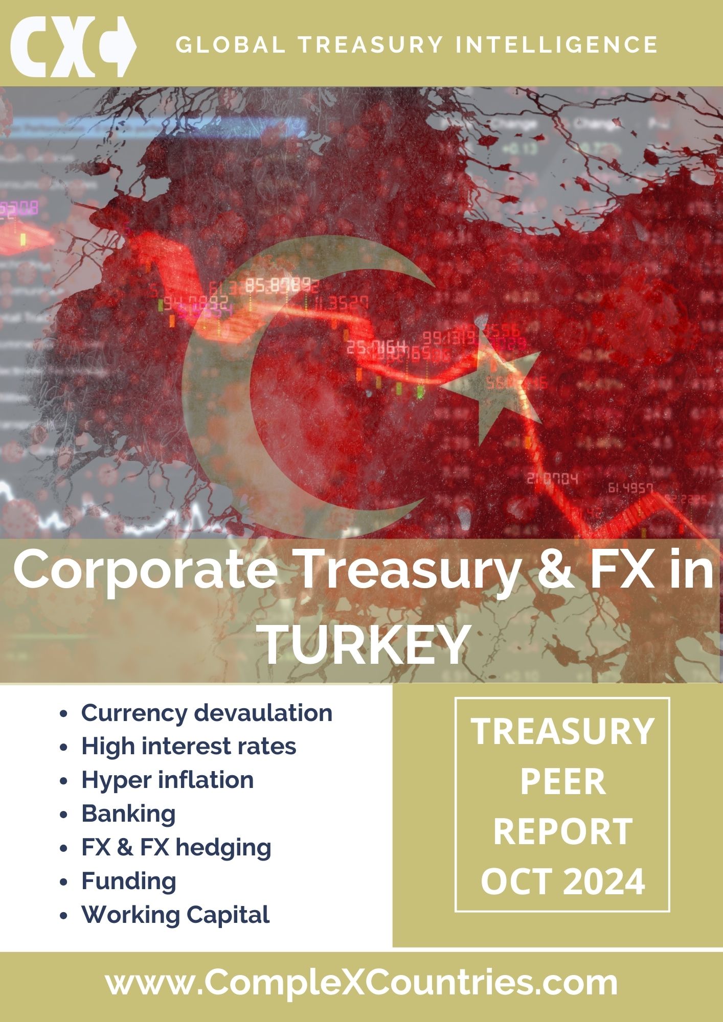 Corporate Treasury & FX in Turkey