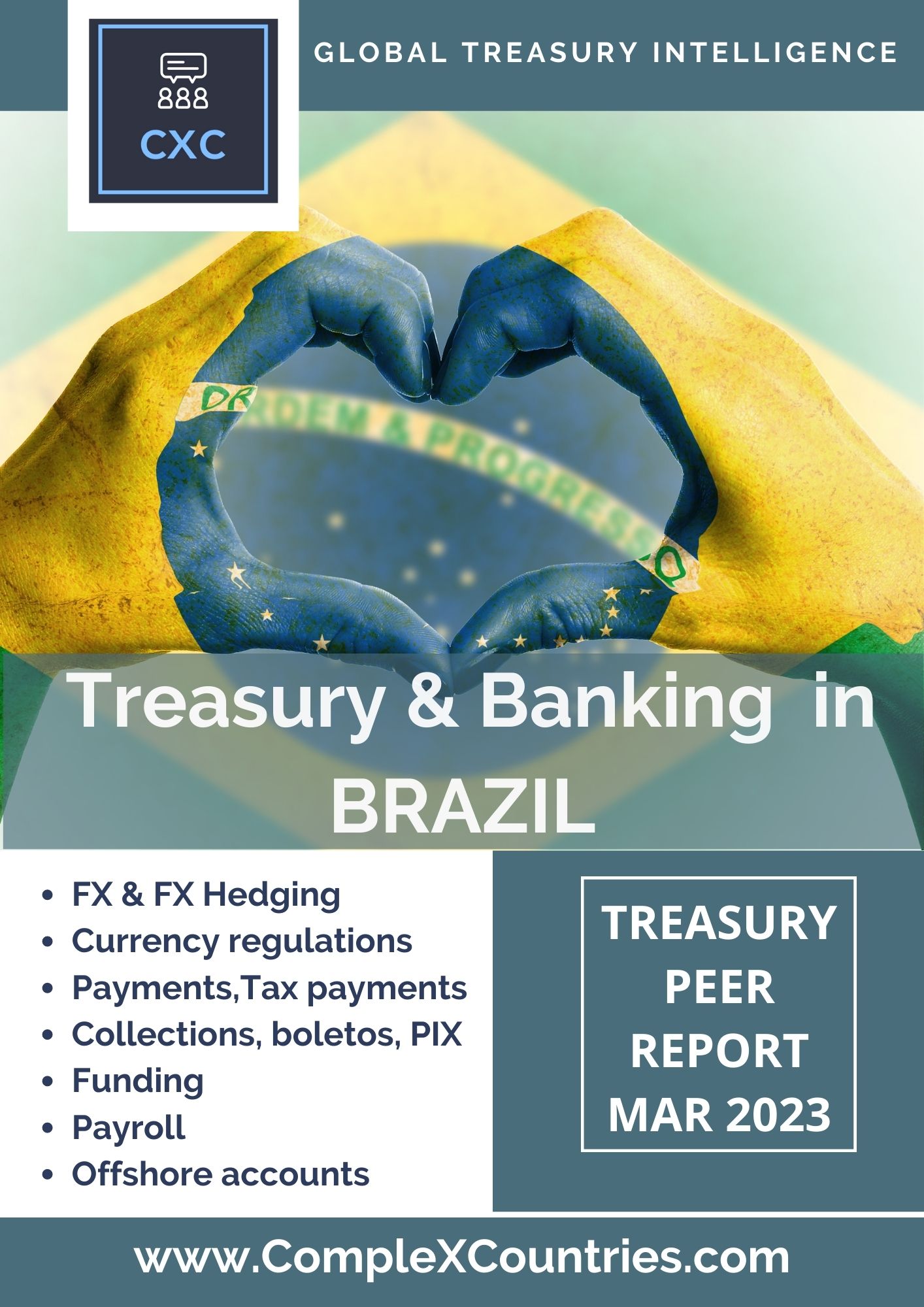Treasury & Banking in Brazil