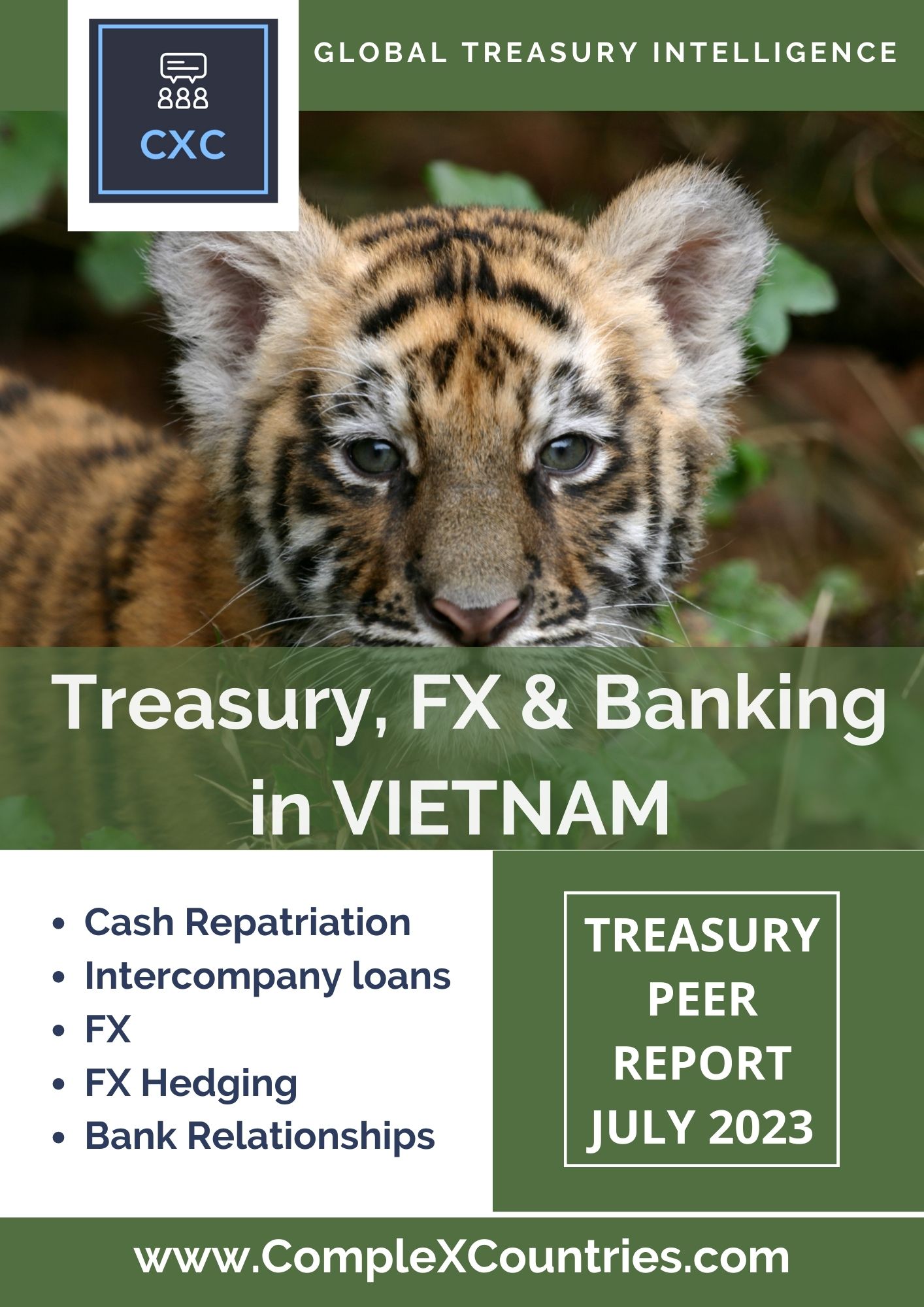 Treasury, FX & Banking in Vietnam