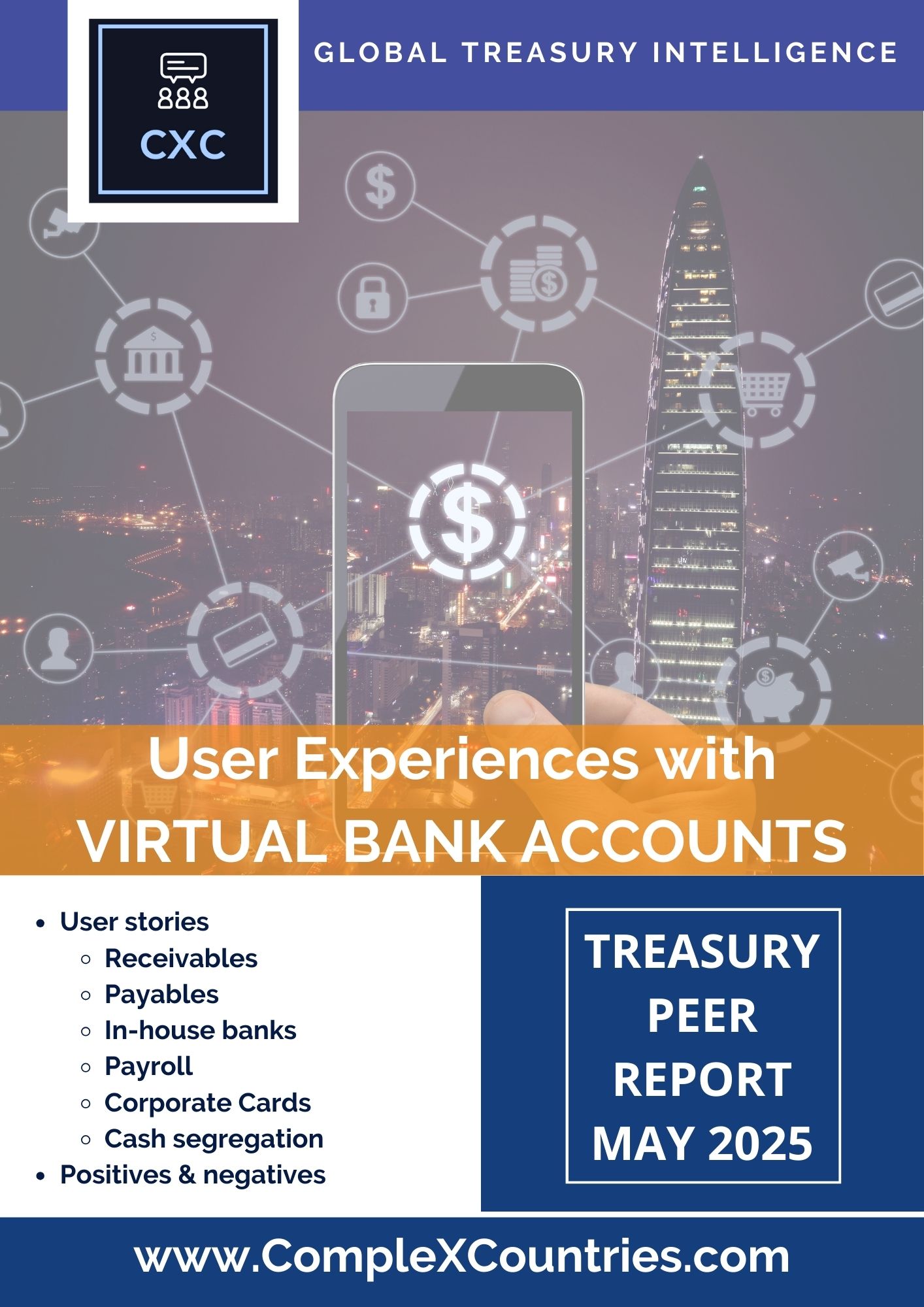 User Experiences with Virtual Bank Accounts