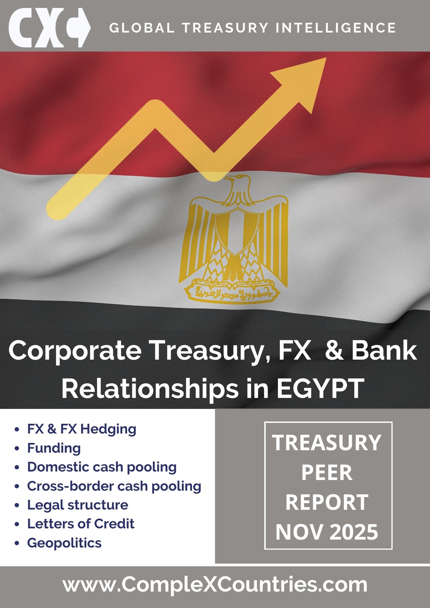 Corporate Treasury, FX & Bank Relationships in Egypt