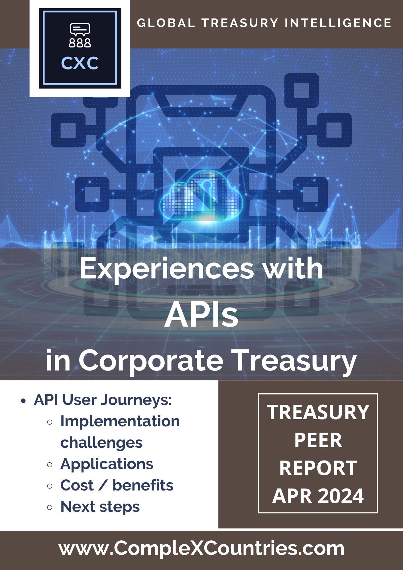 Experiences with APIs in Corporate Treasury