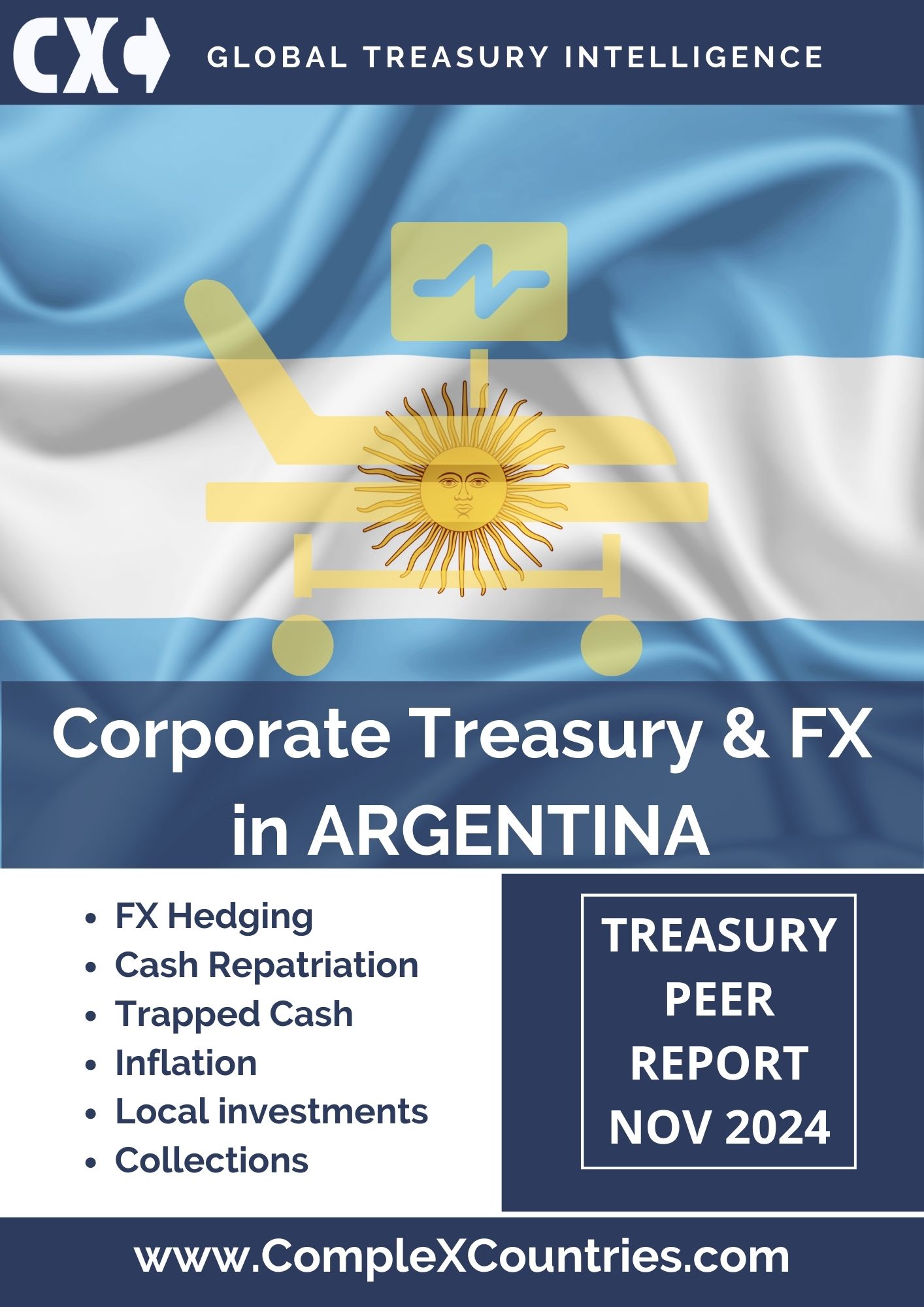 Corporate Treasury & FX in Argentina