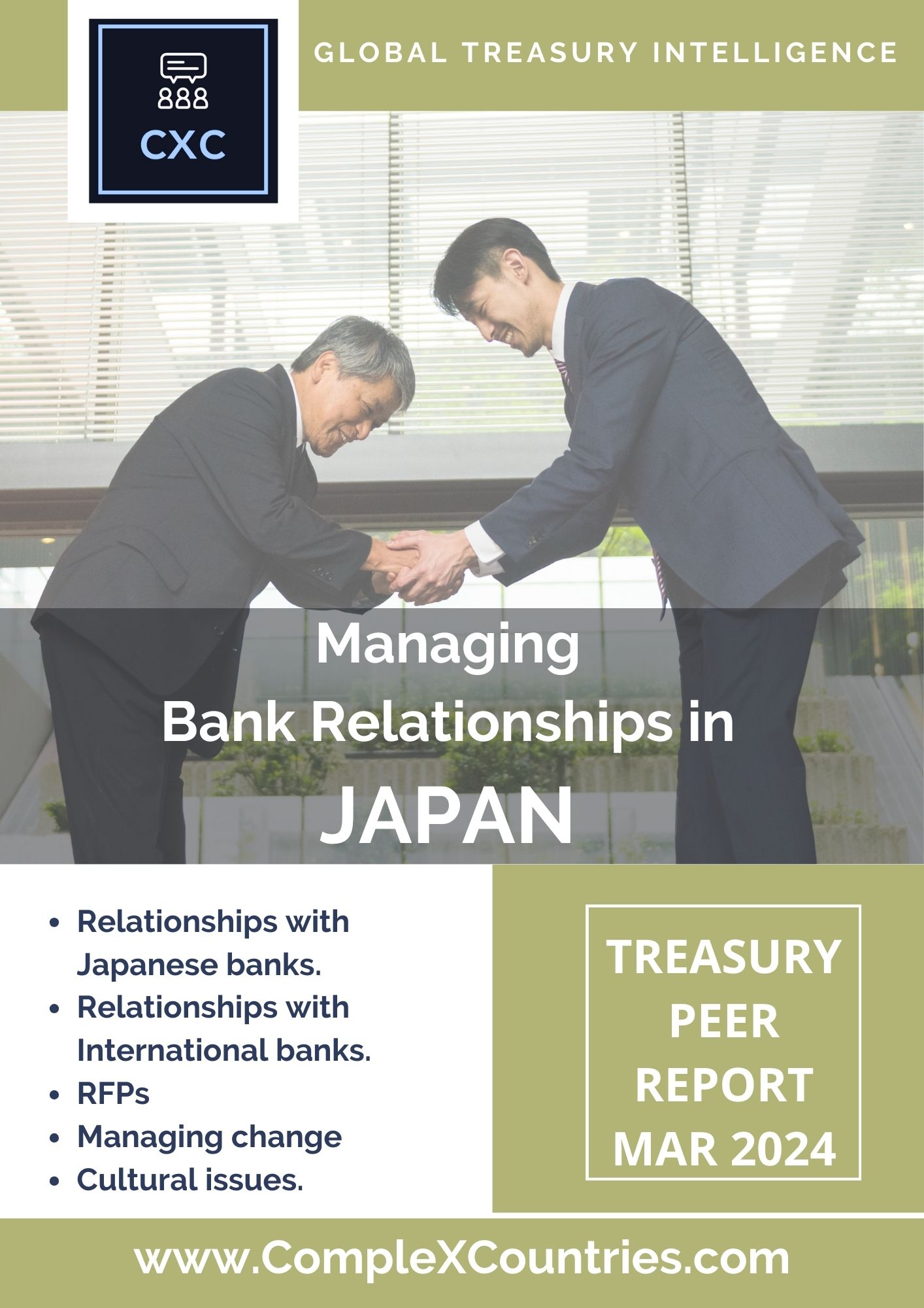 Managing Bank Relationships in Japan