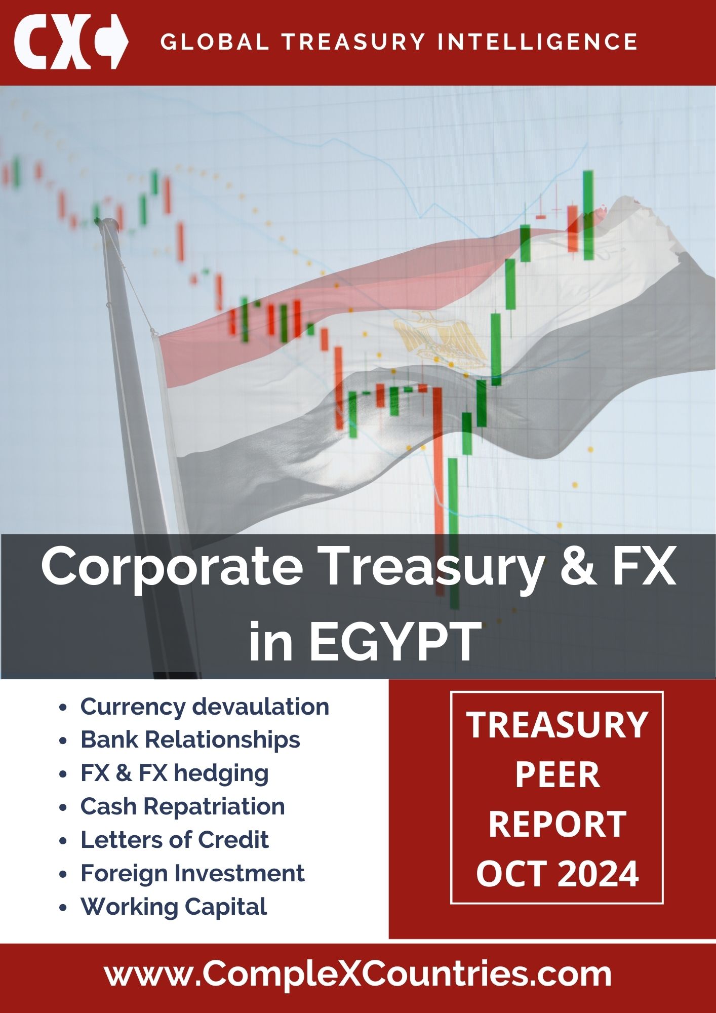 Corporate Treasury & FX in Egypt