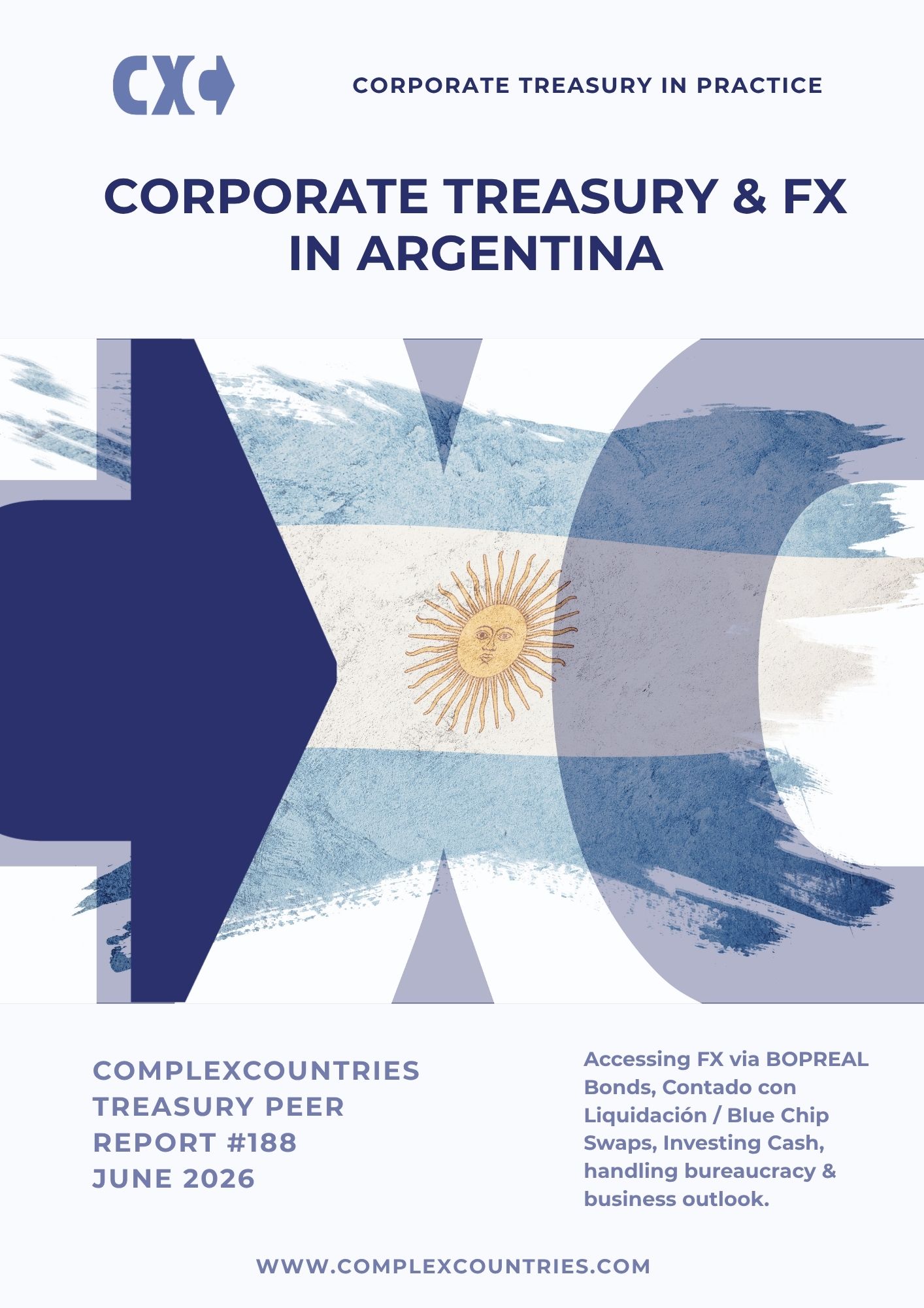 Corporate Treasury & FX in Argentina