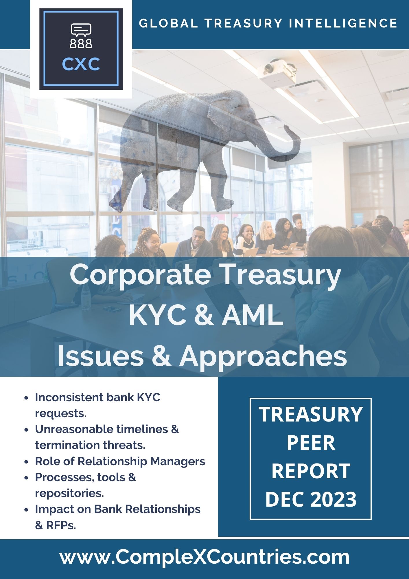 Corporate Treasury KYC & AML Issues and Approaches