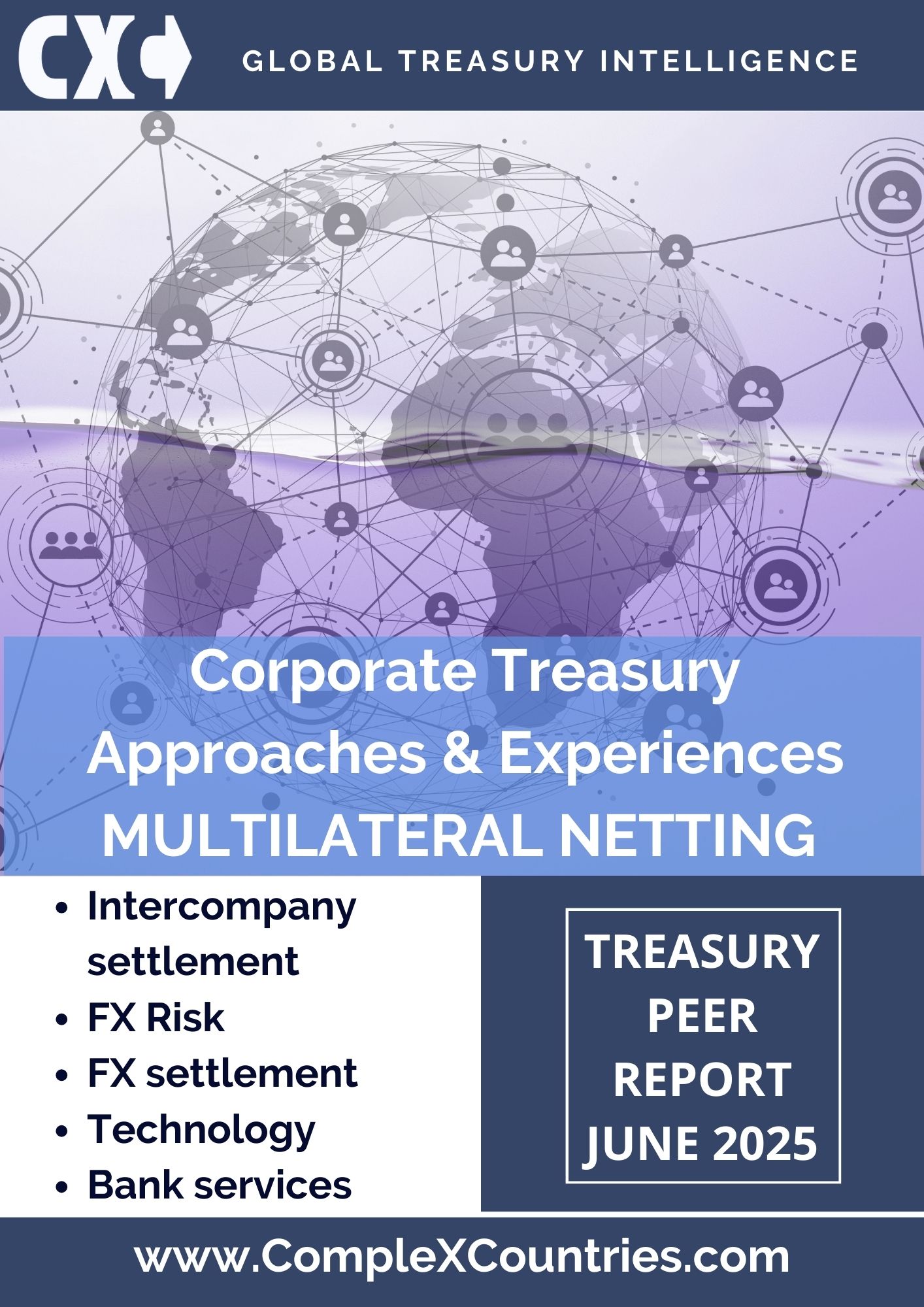 Corporate Treasury: Approaches & Experiences with Multilateral Netting