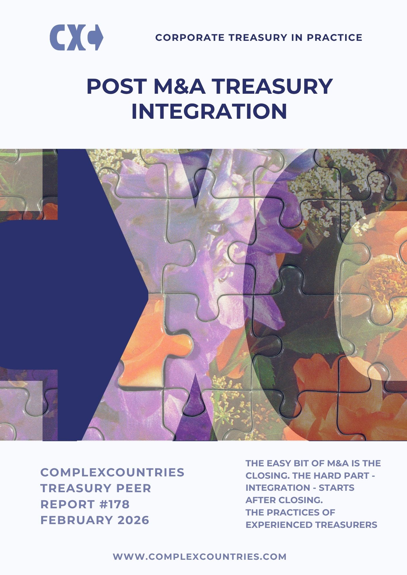 Post M&A Corporate Treasury Integration