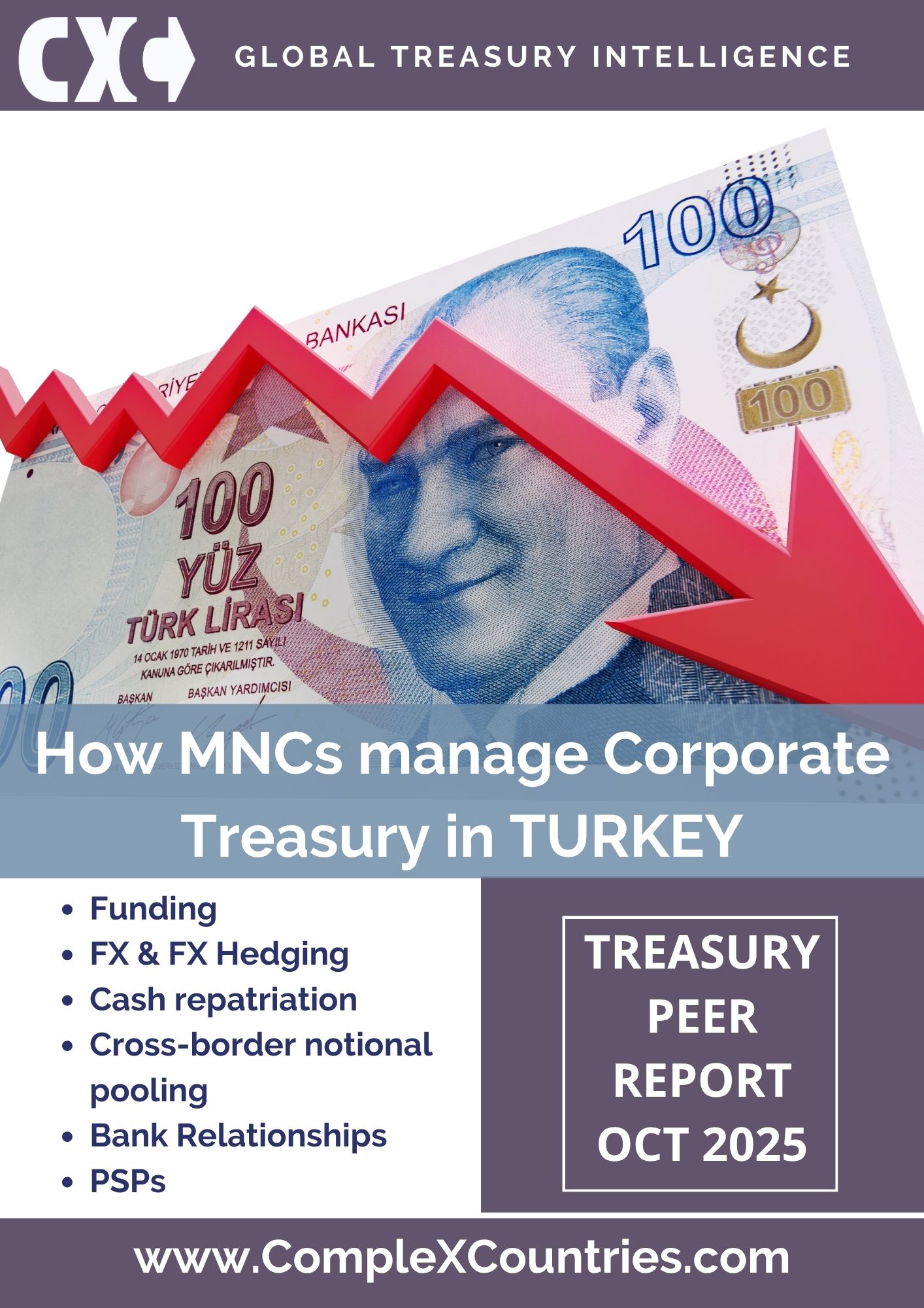 How MNCs manage Corporate Treasury in Turkey