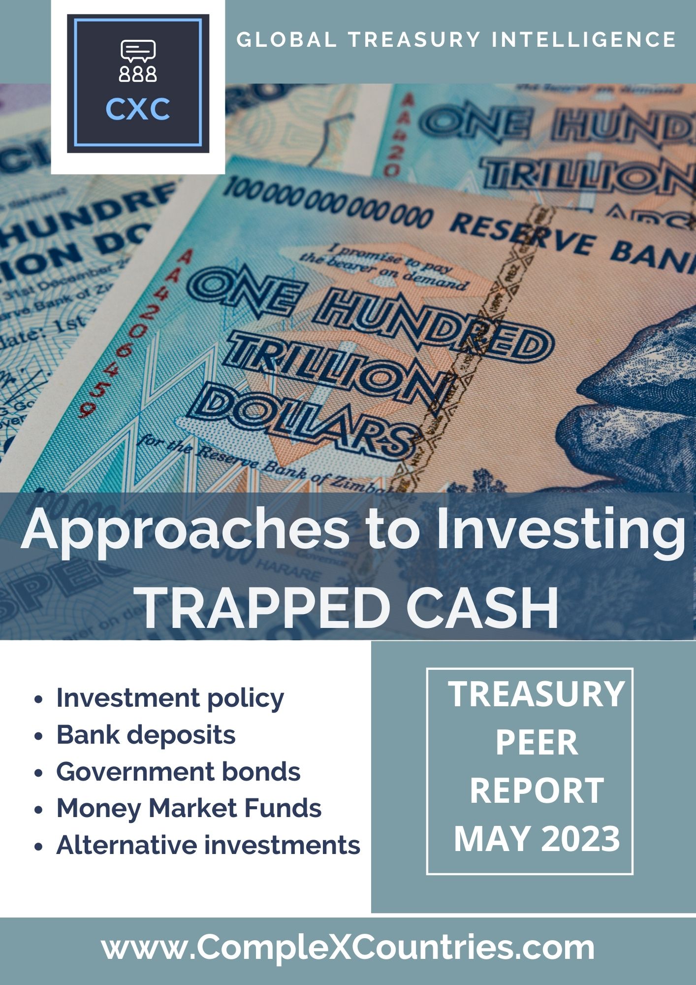 Approaches to Investing Trapped Cash CompleXCountries