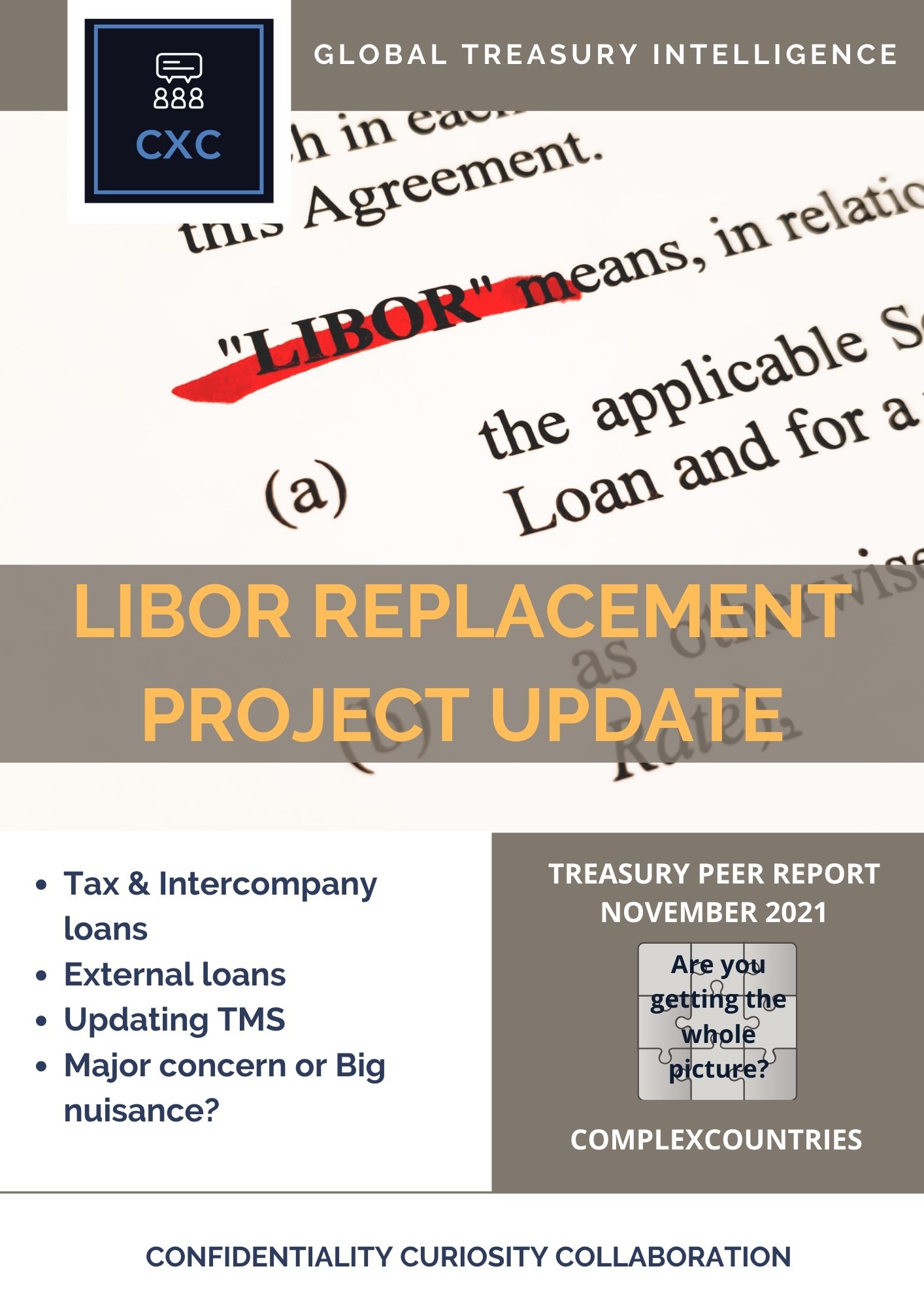 LIBOR Replacement Project Update