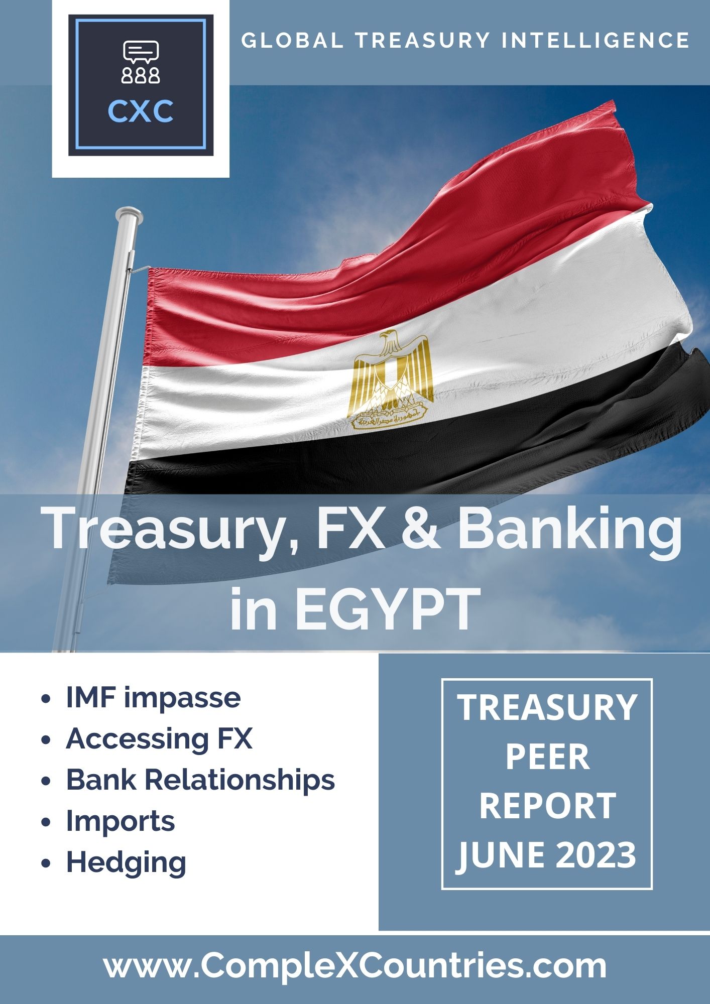 Treasury, FX & Banking in Egypt